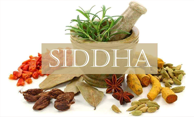 Herbal-Medicine-in-Chennai